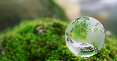 20 марта - Всемирный день Земли | Экологический турист | Дзен