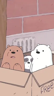 Картинки по запросу вся правда о медведях | We bare bears, Bare bears, Bear  wallpaper