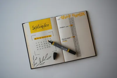 Идеи для личного дневника. | Анастасия Конорева | Дзен