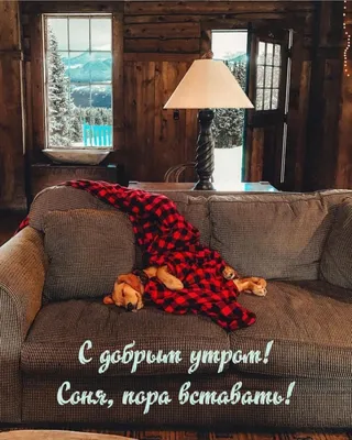 Кровать для детской Соня 1,4 м купить в Санкт-Петербурге по цене 6 500 ₽ в  интернет-магазине «Комод78».