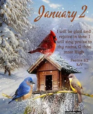 January 2 Pictures, Photos, and Images for Facebook, Tumblr, Pinterest, and  Twitter | Christmas bible verses, New years prayer, January 2