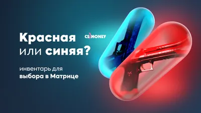 Выбор продуктов питания: советы и правила как выбрать качественные и  безопасные продукты?