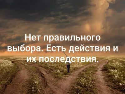 Фильм Выбор Софи (1982) описание, содержание, трейлеры и многое другое о  фильме