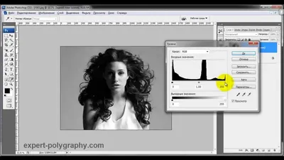 How to cut an object in Photoshop. 4 easy ways - YouTube