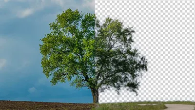 Быстрое выделение областей в Photoshop