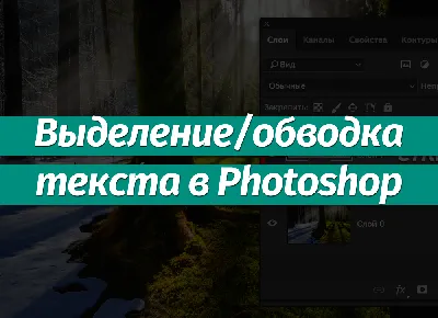 В Photoshop появилось выделение объектов в один клик (7 фото + видео) »  24Gadget.Ru :: Гаджеты и технологии