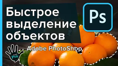 Как фотошопить, если не дизайнер: инструкция по Photoshop