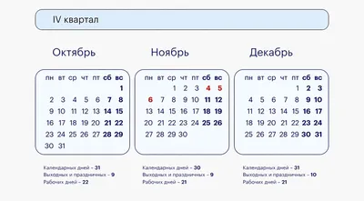 Выходные и праздники в ноябре 2023-го: как отдыхаем, официальный график |  РБК Life