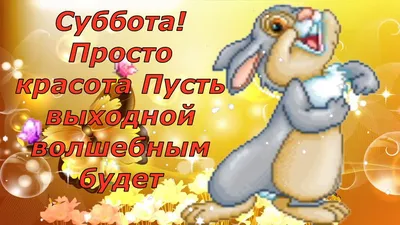 Я: Ура! Впереди длинные выходные! Столько всего можно успеть | Пикабу