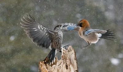 Выходные!!! Ура!!!, красиво, …» — создано в Шедевруме