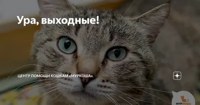 Ура выходные !!!!!! | АниМаил Amino