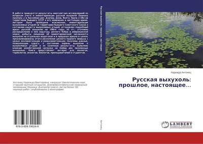 083 Русская выхухоль – Desmana moschata.jpg