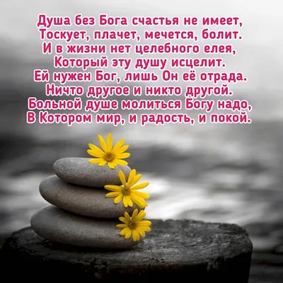 irinanikolaevna_ - #цитата #счастье #красивосказано | Facebook