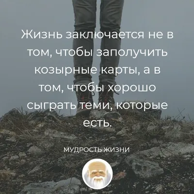 Мудрость жизни, Максим Власов – скачать книгу fb2, epub, pdf на ЛитРес