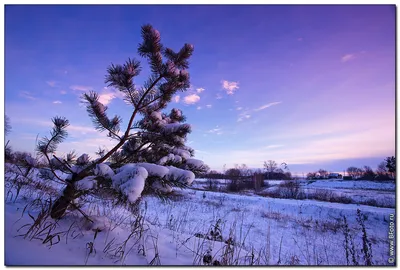 Обои зима, все, раздел Природа, размер 2560x1600 Wide - скачать бесплатно  картинку на рабочий стол и телефон
