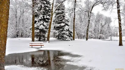 Обои зима, зимние фото, скачать обои зима 2560x1600 высокого качества