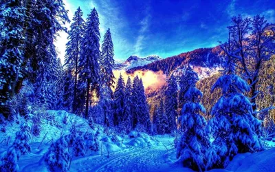 Мусульманский путешественник молились на фотографии горы зимы высокого  качества Стоковое Фото - изображение насчитывающей вероисповедание, день:  211772254