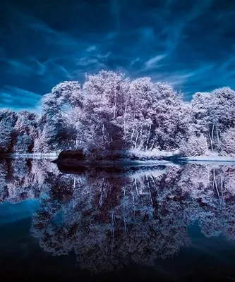 Обои зима, пейзаж на телефон высокого качества · бесплатная фотография от  photomonstr - картинки на Fonwall