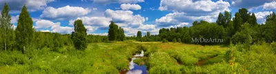 панорама высокого разрешения летний пейзаж с полем и горизонтом Стоковое  Фото - изображение насчитывающей ясность, знамена: 226498516