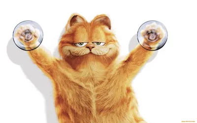 Обои Мультфильмы Garfield, обои для рабочего стола, фотографии мультфильмы,  garfield, рыжий, кот, гарфилд, присоски Обои для рабочего стола, скачать  обои картинки заставки на рабочий стол.