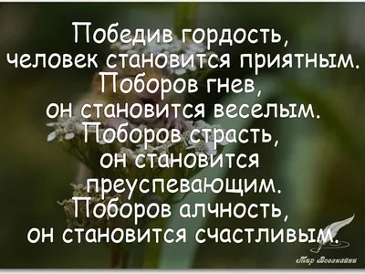 ОТНОШЕНИЕ ШКОЛЬНИКОВ К ВЫСОКОМЕРИЮ: ОПЫТ СОЦИОЛОГИЧЕСКОГО ОПРОСА – тема  научной статьи по психологическим наукам читайте бесплатно текст  научно-исследовательской работы в электронной библиотеке КиберЛенинка