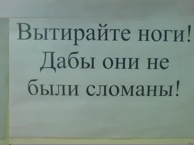 Пожалуйста, вытирайте ноги лапки перед входом. / одесские котики :: котэ  (прикольные картинки с кошками) / смешные картинки и другие приколы:  комиксы, гиф анимация, видео, лучший интеллектуальный юмор.