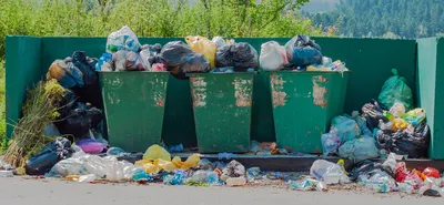 Количество жалоб на вывоз мусора в Петербурге снизилось на 15% в 2023 году  | Телеканал Санкт-Петербург