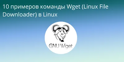 Как переименовать файл при загрузке с помощью wget в Linux