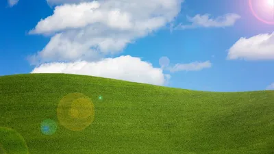 My friends and I recreated the Windows XP wallpaper : r/windows