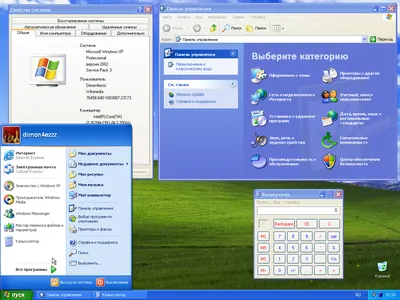 The Story behind the Famous Windows XP Desktop Background | Artsy