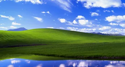 Windows XP Bliss: Man reveals California location of desktop background  photo | news.com.au — Australia's leading news site