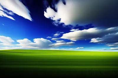 Windows XP | The Microsoft Windows XP Wiki | Fandom