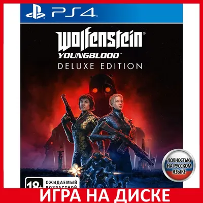 Купить игру [64 ГБ] WOLFENSTEIN II: THE NEW COLOSSUS (ОЗВУЧКА) - Action  (Shooter) / 3D / 1st Person - DVD BOX + флешка 64 ГБ на ФЛЕШКЕ по цене 1  390 руб.