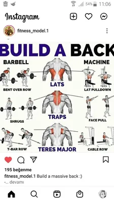 Pin by Pandia Raja on Workout | Back workout routine, Gym workouts for men,  Back workout program