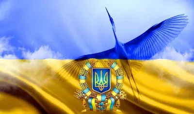 FAU вітає з Днем Державного прапора України | Новини
