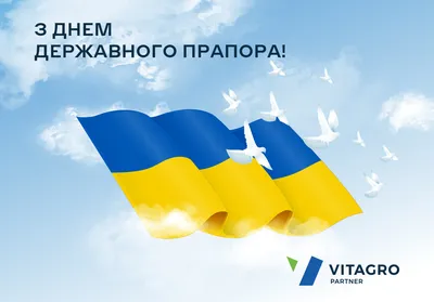 Вітаємо з Днем Державного Прапора України! | Міжнародний університет  фінансів