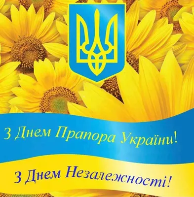 День Державного Прапора України - 23 Серпня 2021 - Сайт ЗОШ № 80 М.  Запоріжжя