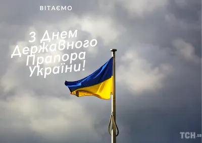 З Днем Державного Прапора України 2023: привітання в прозі та віршах,  картинки українською — Укрaїнa