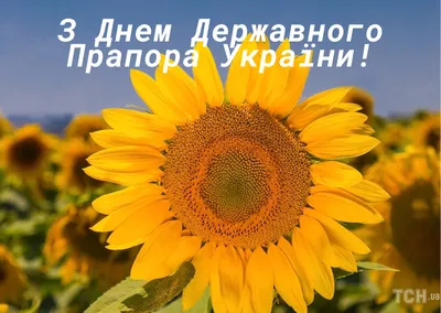 23 серпня ― День Державного прапора України!