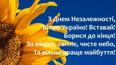 Привітання з Днем Незалежності України! | Державна служба морського і  внутрішнього водного транспорту та судноплавства України