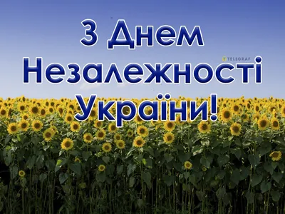 Поздравления с Днем Независимости Украины 2023 - поздравления и открытки -  Lifestyle 24