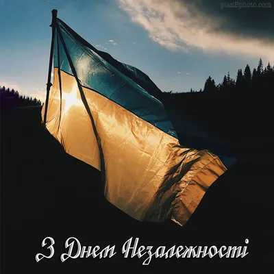 З Днем незалежності України!