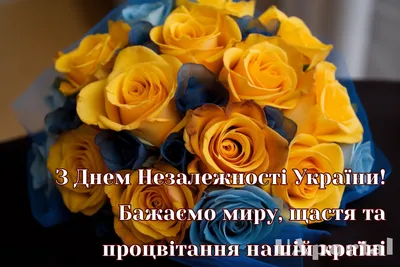 Привітання Директора ДБР із Днем Незалежності України! - Державне бюро  розслідувань