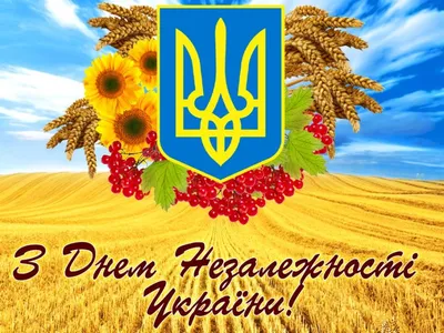 З Днем Незалежності України! — Обласне управління охорони здоров'я