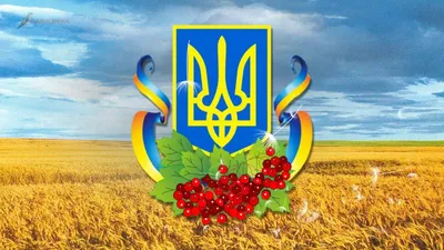 С Днем Независимости Украины 2020! Открытки, смс, стихи, видео | OBOZ.UA
