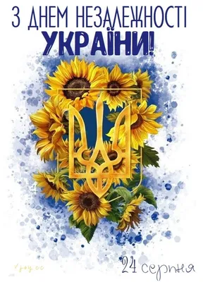З Днем Незалежності! – Академический медицинский центр (AMC) - медицинская  клиника в самом центре Киева