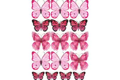 Метелики рожеві вафельна картинка от интернет-магазина «Домашний Пекарь» с  оперативной доставкой