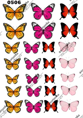 Що символізує метелик? » Senfil.net - Цікавий журнал