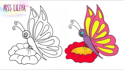 Яскраві заколочки з метеликами для дівчаток, ручної роботи. №1223172 -  купить в Украине на Crafta.ua