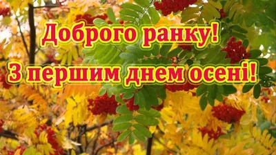 Привітання в останній день осені - картинки і листівки - Апостроф